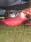 Klippo Pro 17 H