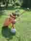 Komplett golfset för nybörjare med vagn – MacGregor m.fl.