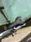 Fin MTB Crescent