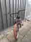 Mafia madmain 20”