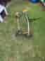 Grästrimmer