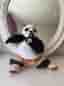 Po (Kung Fu Panda) gosedjur