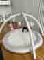 Baby gym