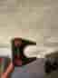 Odyssey o-works 7 putter med SuperStroke-grepp