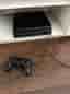 Playstation 4 Pro 1TB