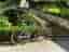 Mountainbike Easton Elite