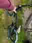 BMX Cykel