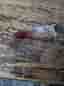 Fiskedrag / wobblers flera modeller