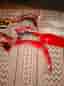 Plastkit honda crf 250/450
