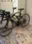 White Racer 24”