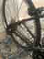 White Racer 24”