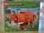 LEGO Minecraft räv byggset 497 bitar