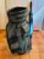 Wild Cat Golf -  Vagnbag