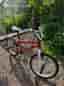 BMX 16”
