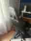 Gaming stol