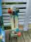 Tony Hawk skateboard + Sunbow cruiserbräda