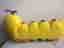 fisher price interactive caterpillar