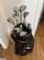 Golfset med bag och klubbor