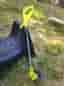 Ryobi grästrimmer