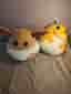 Pokemon Squishmallows
