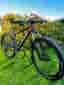 Scott Scale  RC SL