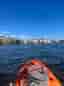 Aqua Marina Fusion SUP-bräda orange
