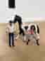 Schleich horse club Café
