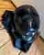 Kask Urban R cykelhjälm svart stl L