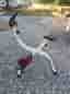 Motioncykeln