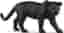 schleich Wild Life 14774 - Schwarzer Panther 2017