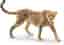 Schleich Wild Life 14746 - Gepardin 2016