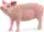 Schleich Farm World 13933 - Schwein