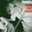 Raise Your Hands-Live Ltd [Audio CD] Reamonn