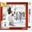 Nintendogs + cats Franzesische Bulldoge - Nintendo Selects [import allemand]