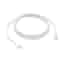 Câble Apple USB-C pour iPhone 2 m Blanc