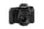 Canon EOS 77D - Appareil photo numérique - Reflex - 24.2 MP - APS-C - 1080p / 60 pi/s - 3x zoom optique objectif EF-S 18-55 mm IS STM - Wi-Fi, NFC, Bluetooth