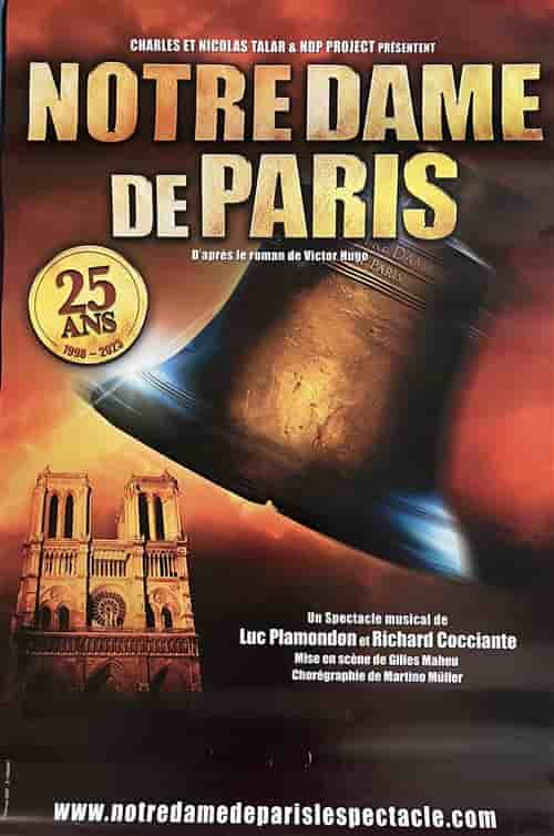 Affiche - Notre Dame de Paris - 25 ans - 80x120cm