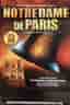 Affiche - Notre Dame de Paris - 25 ans - 80x120cm