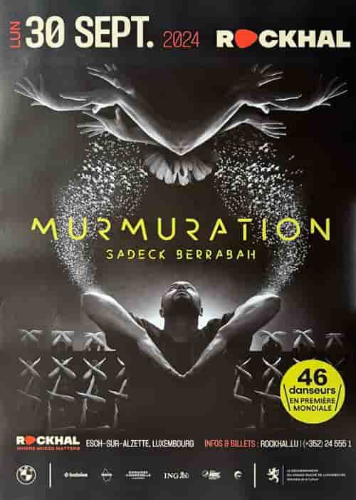Affiche - Murmuration - Sadeck Berrabah - Luxembourg 2024 - 60x86cm