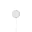 Chargeur MagSafe Apple pour iPhone 2 m Blanc