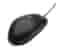 HP - souris - USB