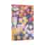 Agenda civil maxi horizontal Paperblanks 2026 Les chrysanthèmes de Monet