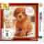 Nintendogs + Cats : Zwergpudel & Neue Freunde - Nintendo Selects - [3DS] [import allemand]