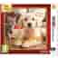 Nintendo Selects Nintendogs + Cats (Golden Retriever + New Friends) [import anglais]