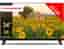 TV LED Thomson 24HA2S13C 60 cm HD Android TV Noir