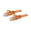 STARTECH.COM 1,5m CAT6 Kabel - orangenes CAT6-Patchkabel - Snagless-RJ45 - 24 AWG Kupferdraht - LAN - Ethernet N6PATC150CMOR