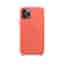 iPhone 11 Pro Silicone Case - Clementine