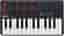 Akai Professional MPK Mini MKII 25-Key Ultra-Portable USB MIDI Grade Good Used