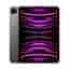 iPad Pro 11" Wi-Fi M2 (4th Gen) 256GB Space Gray