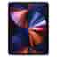 iPad Pro 12.9" 5th Gen (2021) 256GB Space Grey - Pristine